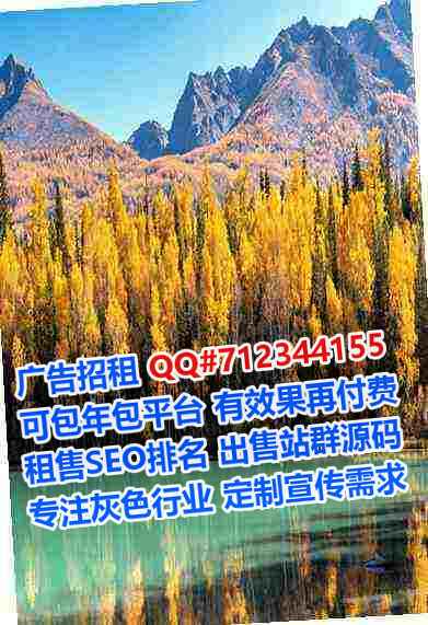 石渠捐卵路桥公司